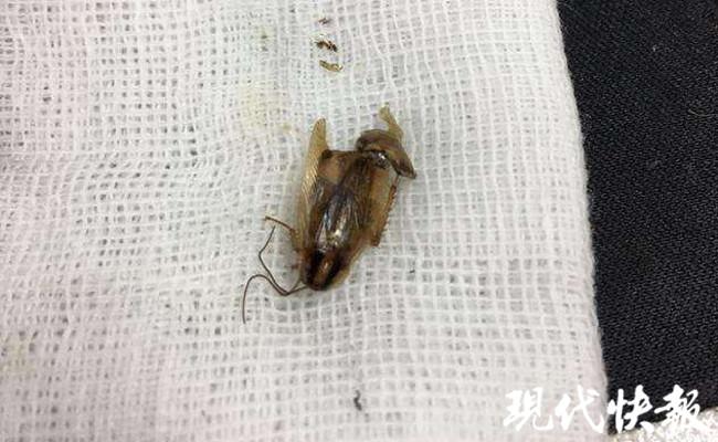 第334页